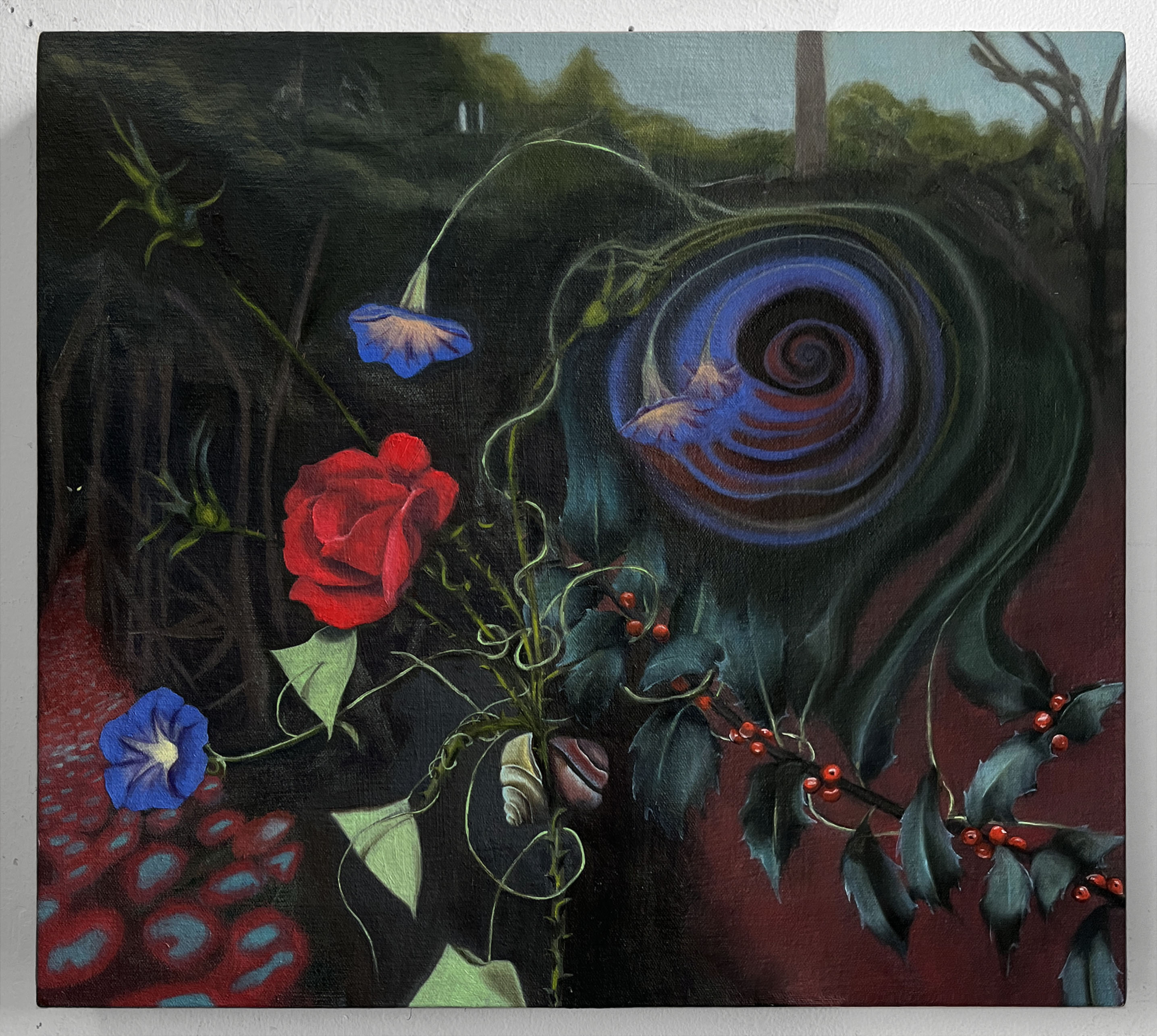 Bindweed, 14x16,<br>oil on canvas, 2023<br>